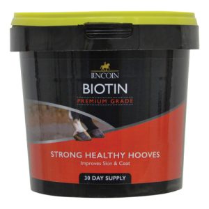 Lincoln Biotin 600g