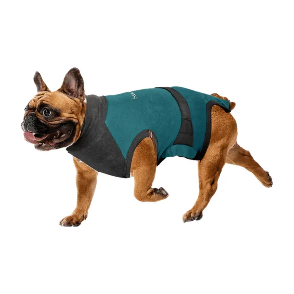 MAXX Recovery Suit - Image 3