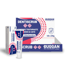 Dentiscrub 20g