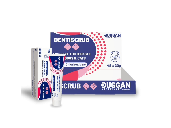 Dentiscrub 20g