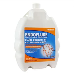 Endofluke