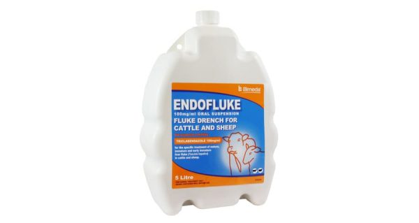 Endofluke