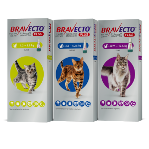 Bravecto Plus spot on For Cats (POM) Prices range from €31-€33.00