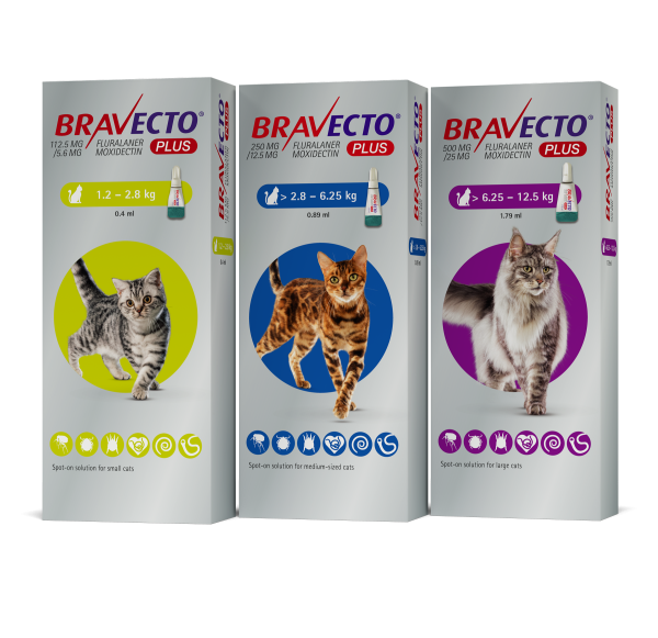 Bravecto Plus spot on For Cats (POM) Prices range from €31-€33.00