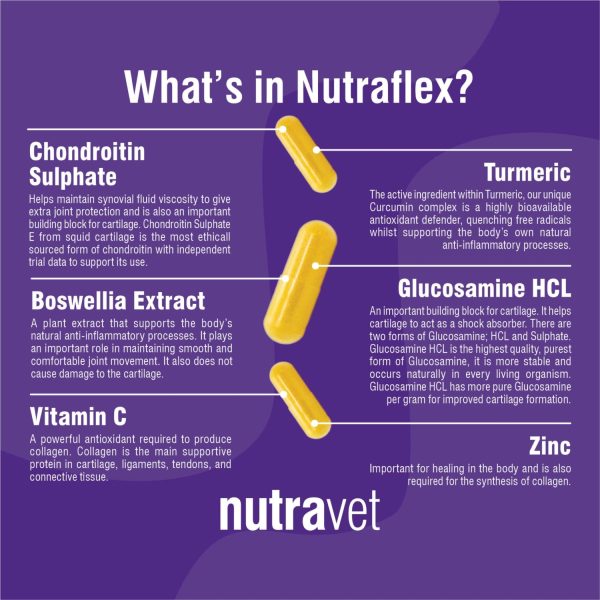 Nutraflex - Image 2