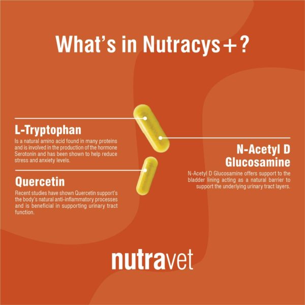 Nutracys + Capsules - Image 2