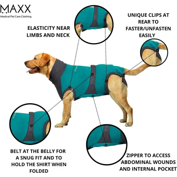 MAXX Recovery Suit