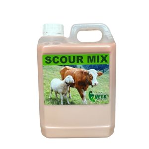 Scour Fix