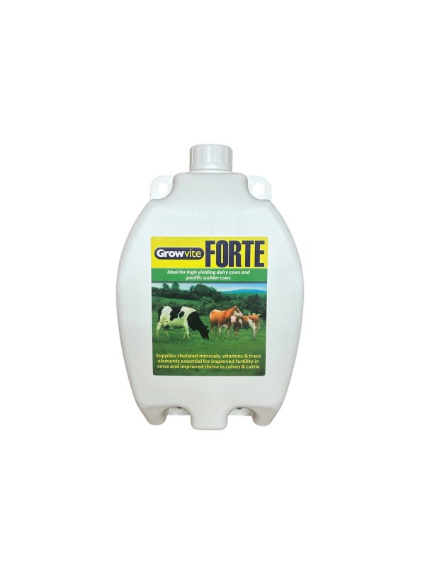Growvite Forte for Cattle