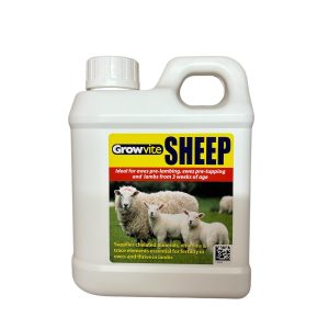 Growvite Sheep
