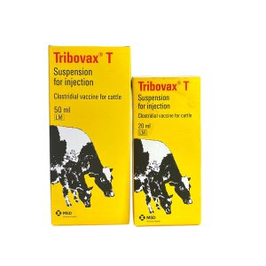 Tribovax T - Clostridial vaccine for cattle