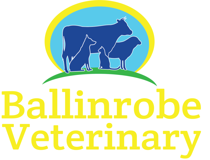 logo-tall-text-yellow