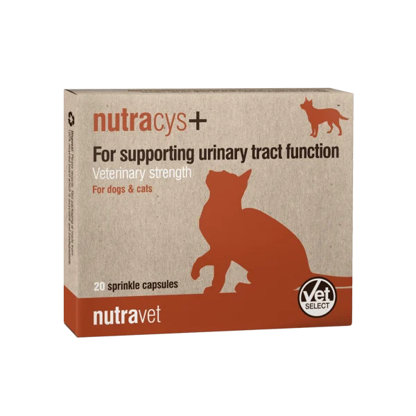 Nutracys +(60 sprinkle capsules)