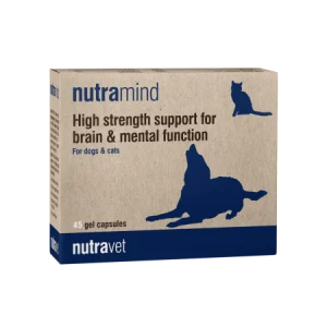 Nutramind (45 gel capsules)